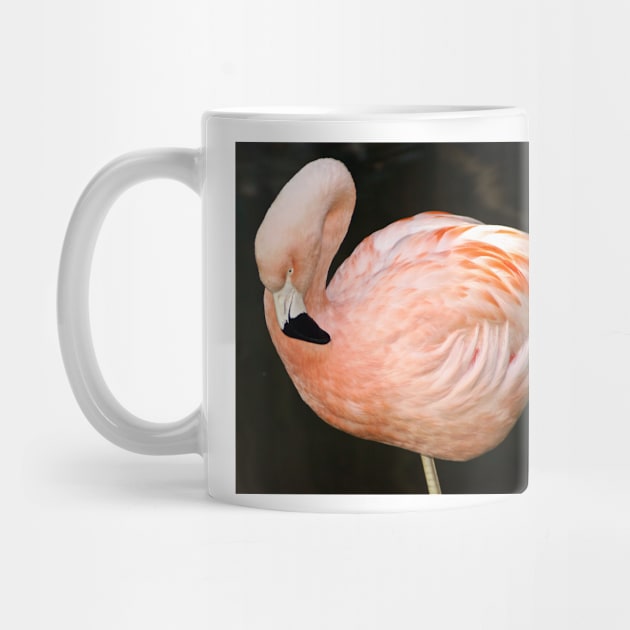 cli pink flamingo by pcfyi